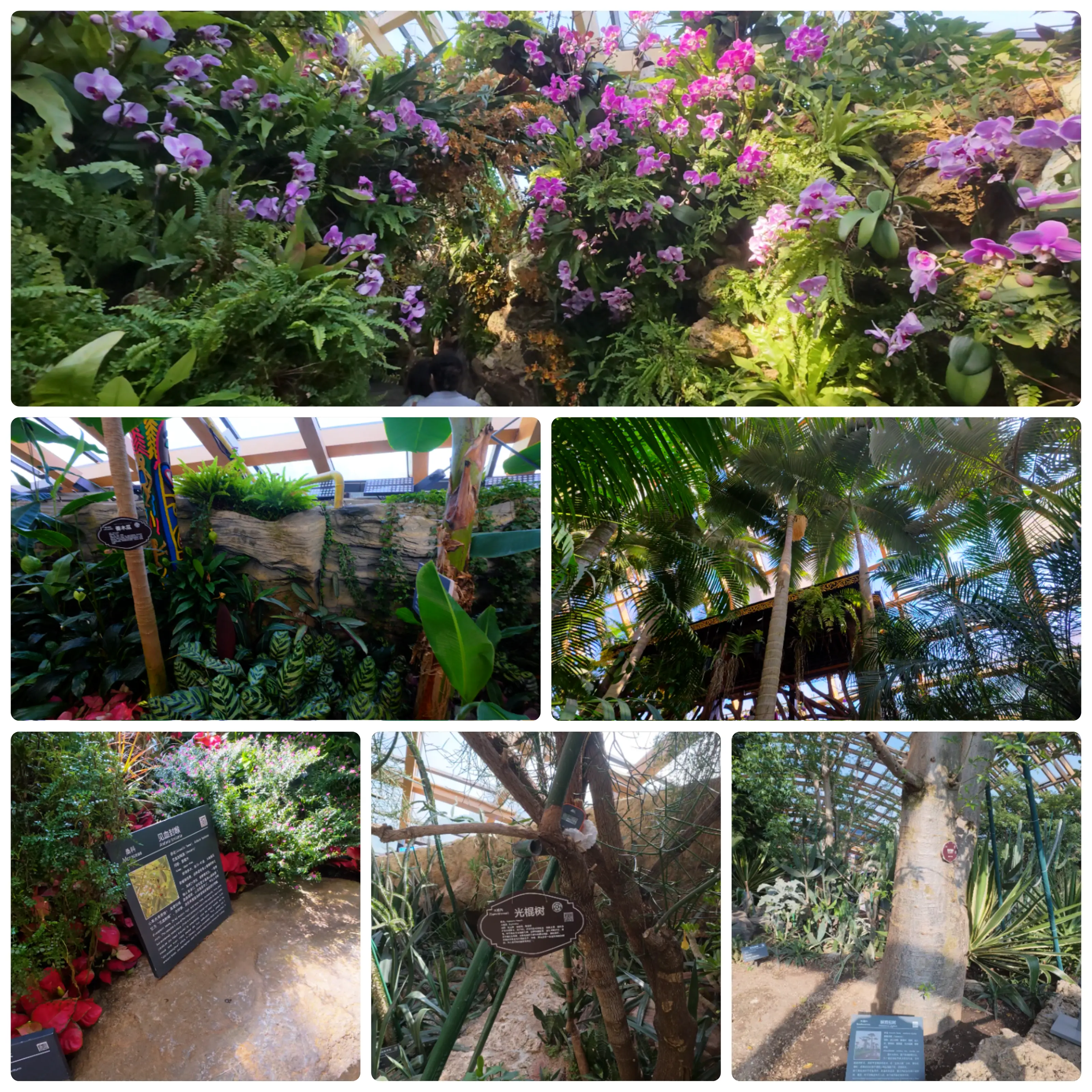 太原植物园